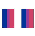 Bisexual flag Bunting